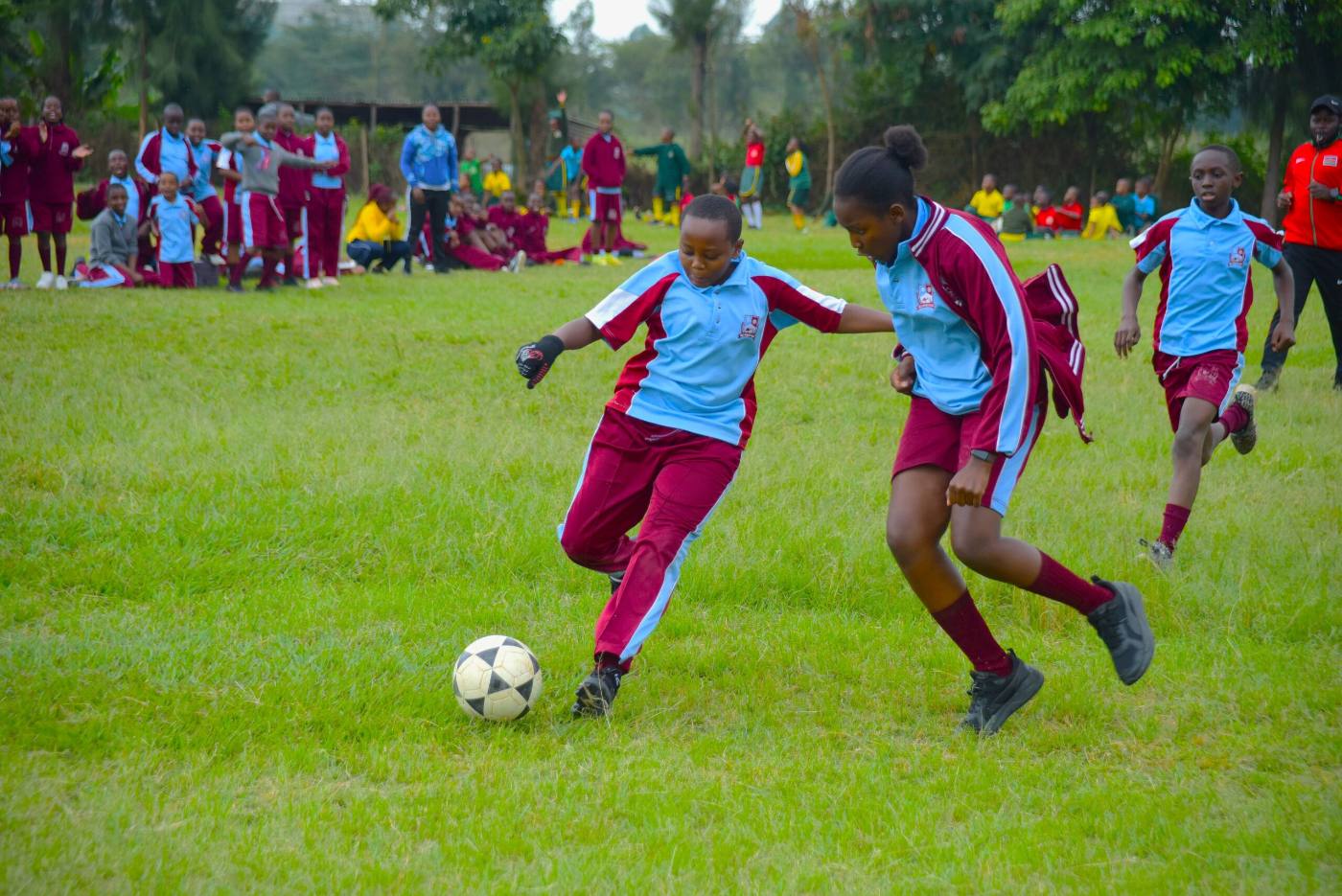 Sports and co-curricular activities